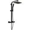 Dual Head Shower Set With Mixer And Hose Black VidaXL