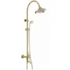 Antique Gold Style Curved Spout & Shower Column